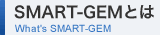 SMART-GEMとは